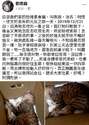 附圖