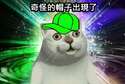 附圖