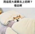 附圖