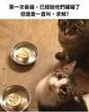 附圖