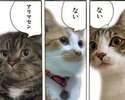 附圖