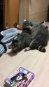附圖