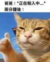 附圖
