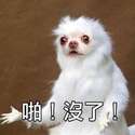 附圖