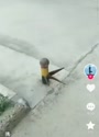 附圖