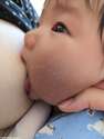 附圖