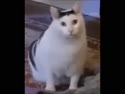 附圖
