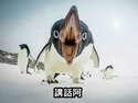 附圖