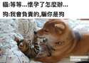 附圖
