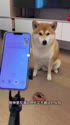 附圖