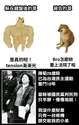 附圖
