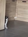 附圖