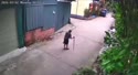 附圖