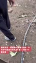 附圖