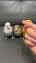 附圖