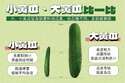 附圖