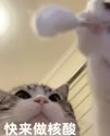 附圖