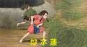 附圖