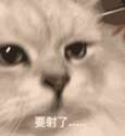 附圖