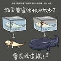 附圖