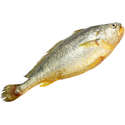 附圖