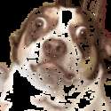 附圖