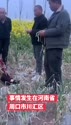 附圖