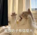附圖