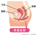 附圖