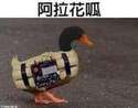 附圖