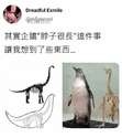 附圖