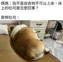 附圖