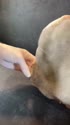 附圖