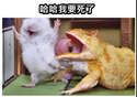 附圖