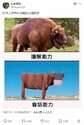 附圖