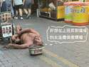 附圖