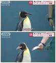 附圖