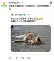 附圖