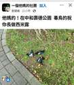 附圖