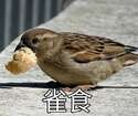 附圖