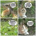 附圖