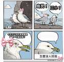 附圖