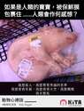 附圖