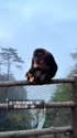 附圖