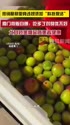 附圖
