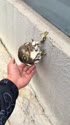 附圖