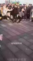 附圖