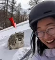 附圖