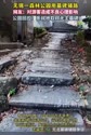 附圖