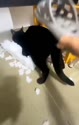 附圖